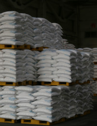 ballbet������(�й�)����ɭ����