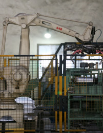 ballbet������(�й�)����ɭ����