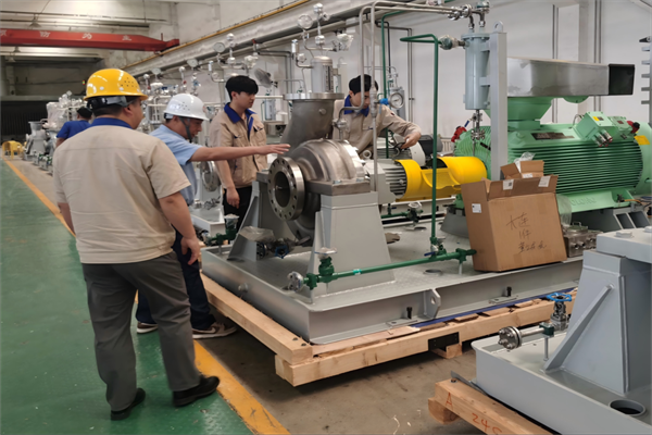 ballbet������(�й�)����ɭ����